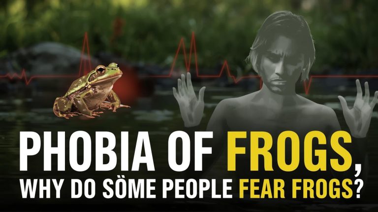 Phobia of frogs